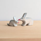 Bilby and Joey Set