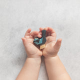 Australian Birds - Wooden Toy Set