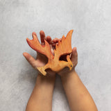 Phoenix Wooden Toy