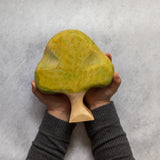 Golden Wattle Tree Wooden Toy