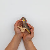 Australian Birds - Wooden Toy Set