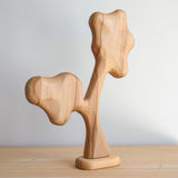 Nuytsia Tree - Beautiful Wood Grain