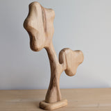 Nuytsia Tree - Beautiful Wood Grain