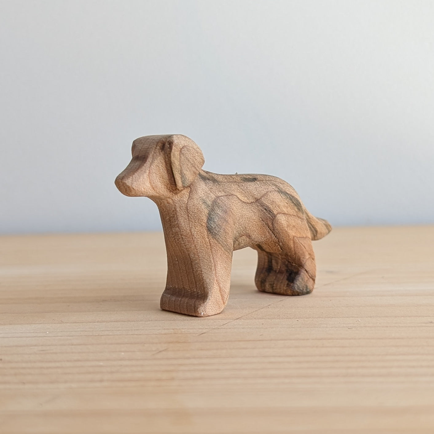 Puppy - Beautiful Wood Grain