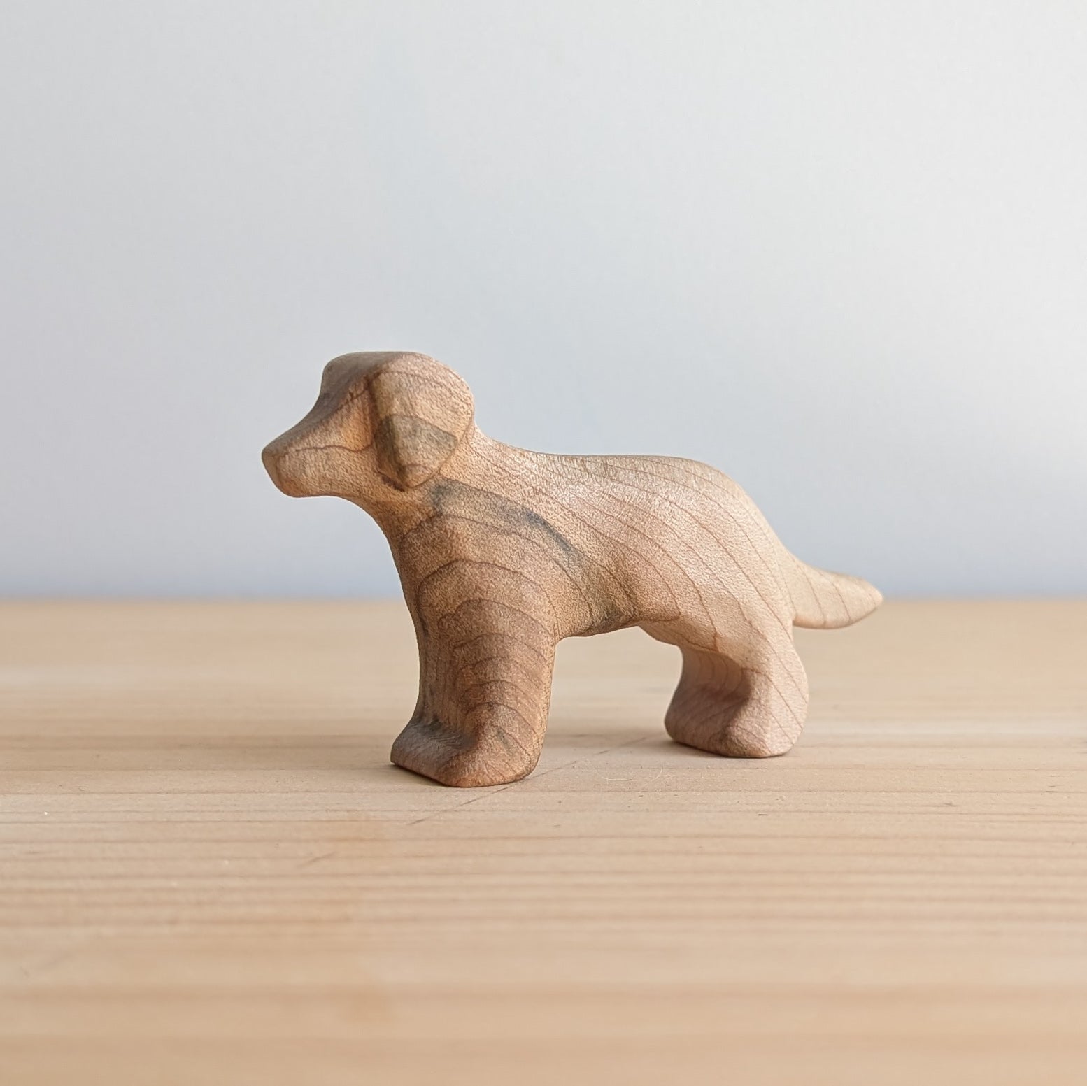 Puppy - Beautiful Wood Grain
