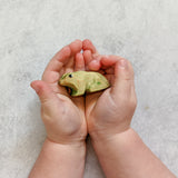 Green Tree Frog Wooden Toy