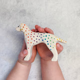 Rainbow Dalmatian Dog