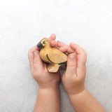 Australian Duck Wooden Toy