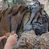 Tiger Wooden Toy - Small