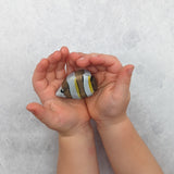 Angelfish Wooden Toy