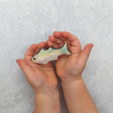 Tuna Fish Wooden Toy