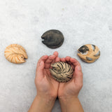 Cat Sleeping Wooden Toy - Various Colours