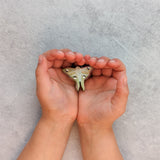 Lunar Moth Wooden Toy