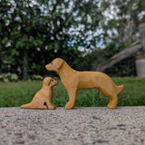 Golden Retriever and Puppy Set