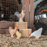 Chicken Family Set